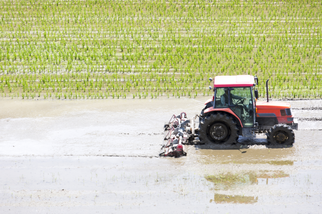 稲作で使われているトラクター
